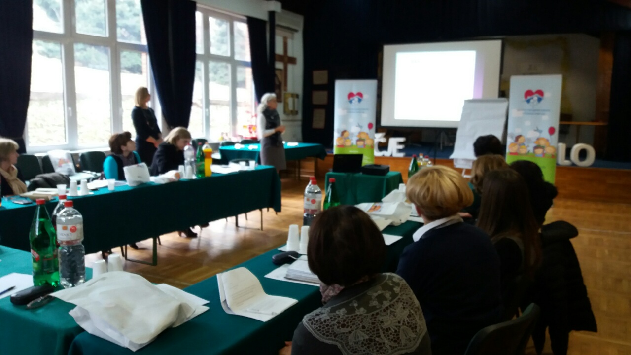 Meeting on the development of training programs intended for providers of foster care services for adults and elderly people