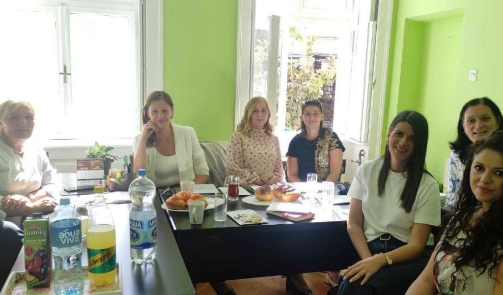 Meeting of the Center for Family Care and Adoption in Novi Sad and the Center for Social Work in Rum and Irig