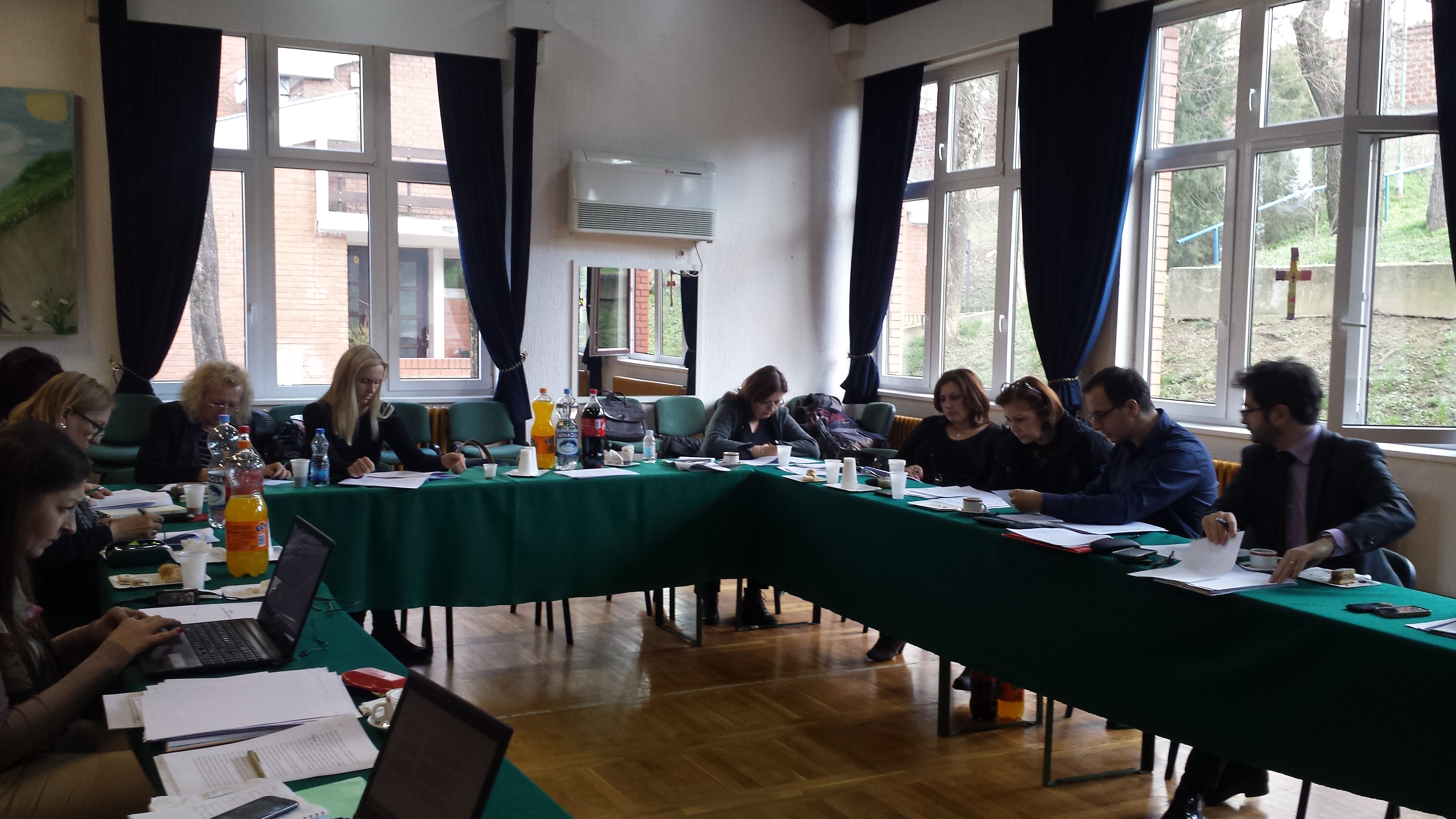 Working group meeting for kinship fostering guidelines development 