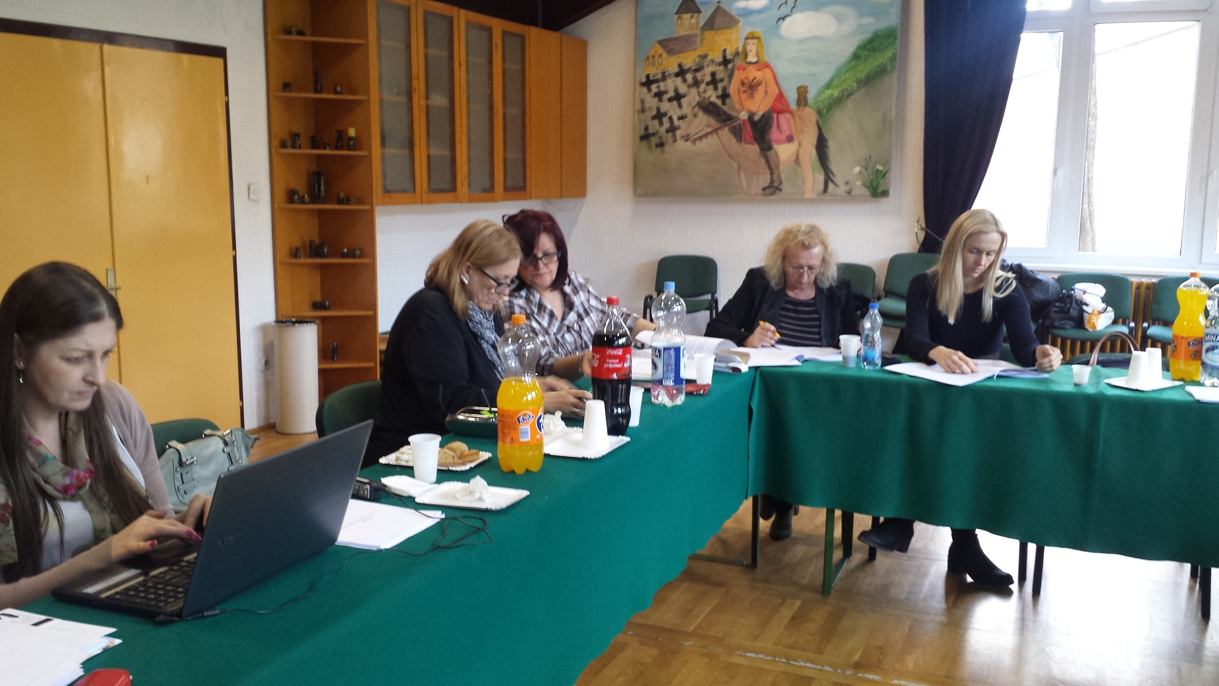 Working group meeting for kinship fostering guidelines development 